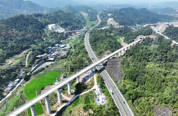 电子游戏app